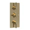 Hudson Reed Tec Pura Plus Triple Concealed Thermostatic Shower Valve - Brushed Brass