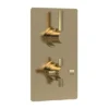 Hudson Reed Tec Pura Twin Concealed Thermostatic Shower Valve - Brushed Brass