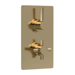 Hudson Reed Tec Pura Twin Concealed Thermostatic Shower Valve - Brushed Brass
