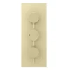 Arezzo Brushed Brass Round Thermostatic Shower Pack With Ceiling Mounted Head + Handset