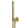 Arezzo Brushed Brass Industrial Style Push Button Shower Valve With Diverter, Handset, Fixed Shower Head + 4 Body Jets