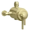 Arezzo Brushed Brass Dual Exposed Thermostatic Shower Valve With Rigid Riser Kit