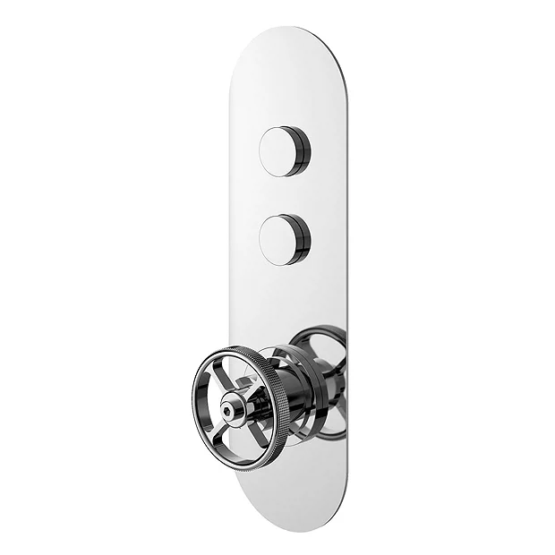 Hudson Reed Revolution Industrial Two Outlet Push-Button Shower Valve - Image 2