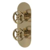 Hudson Reed Revolution Industrial Twin Concealed Thermostatic Shower Valve With Diverter - Brushed Brass