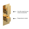 Venice Cubo Twin Thermostatic Shower Valve With Diverter - Brushed Brass